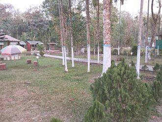 Maa Tara Resort, Lataguri 4